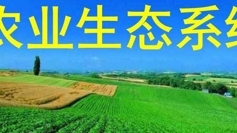 家庭农场生态养殖，如何选择合适方案？**