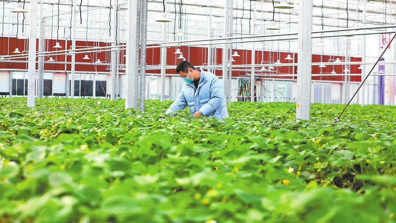 生态农业报告：与普通农业报告的五大差异