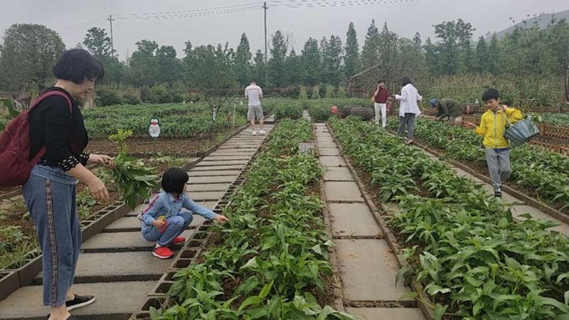 设施农业大棚配件：揭秘其背后的技术秘密**