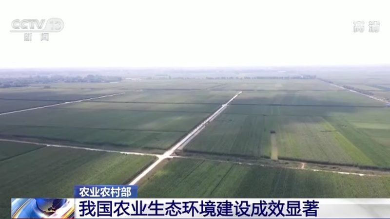 绿色食品公司规模分类：揭秘行业格局与选择之道