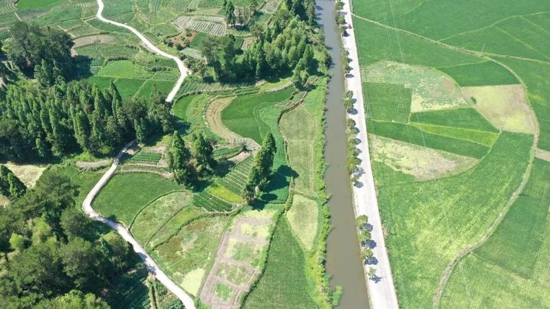 设施农业水培：揭秘高效农业的“空中田园”**