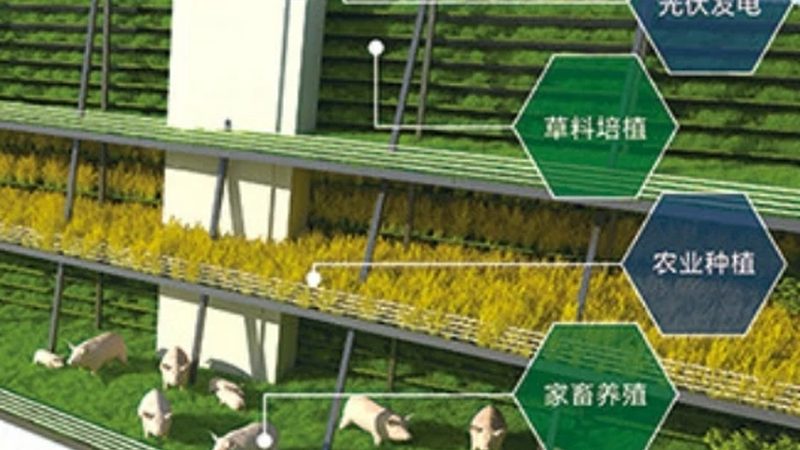 农民专业合作社章程不能照搬模板，这些适用范围得搞清楚