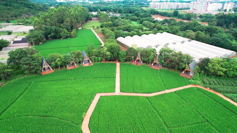 申报材料是农业项目申报的关键，以下列出常见的申报材料：