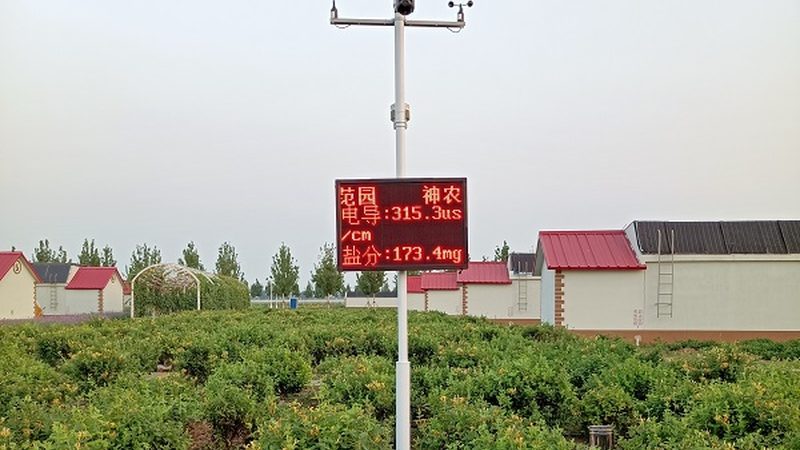 农产品溯源系统：从田间到餐桌的透明之旅