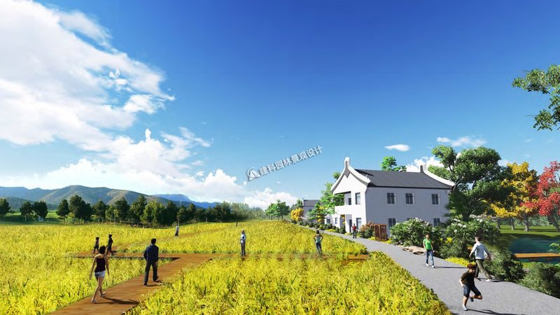 果蔬批发价格波动原因探析
