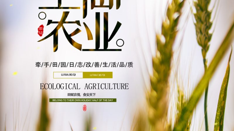 农业观光园节庆活动策划公司